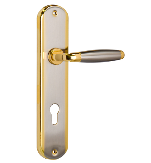 SAFEPLUS LEVER HANDLE W/PLATE GP