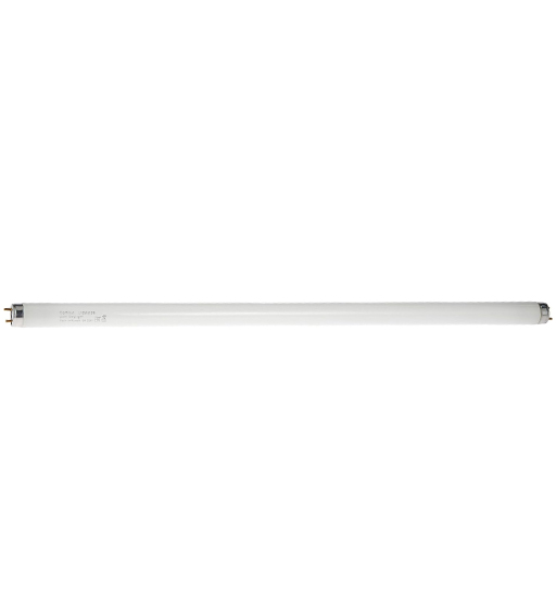 OSRAM TUBE ROD 2FT D/L                  