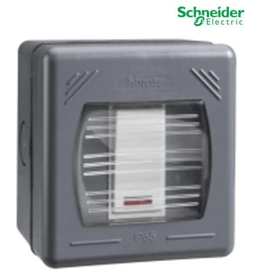 SWITCH DP 20A WITH NEON I SCHNEIDER     