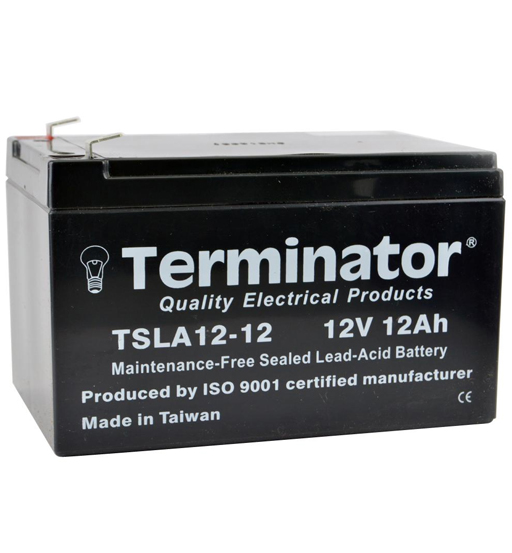 BATTERY 12V-12AH TERMINATOR       